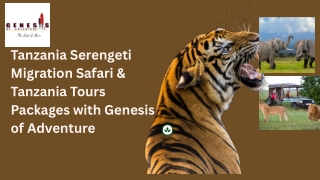 Tanzania Serengeti Migration Safari & Tanzania Tours Packages with Genesis of Adventure
