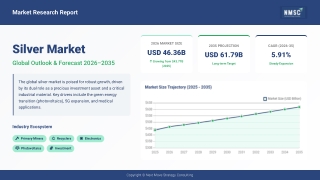 Silver Market Size and Share Analysis