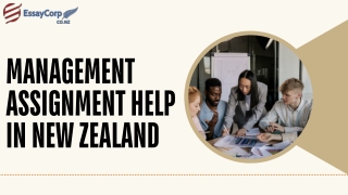 Management Assignment Help in New Zealand