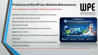 Professional WordPress Website Maintenance Services by WpExperts24x7