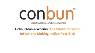 Ticks, Fleas & Worms The Silent Parasitic Infections Making Indian Pets Sick