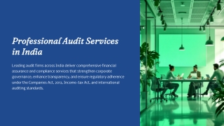 Professional-Audit-Services-in-India