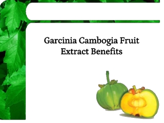 Garcinia Cambogia Fruit Extract Benefits