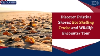 Discover Pristine Shores Eco Shelling Cruise and Wildlife Encounter Tour