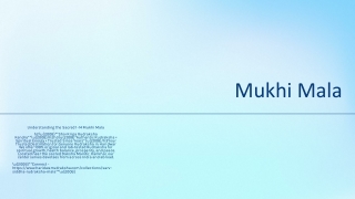 Sarv Siddha 1–14 Mukhi Rudraksha Mala