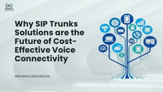 Why SIP Trunks Solutions Are the Future of Cost-Effective Voice Connectivity