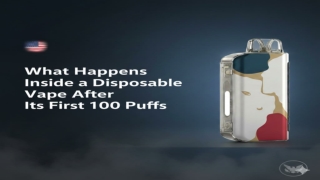 What Happens Inside a Disposable Vape After Its First 100 Puffs esentation