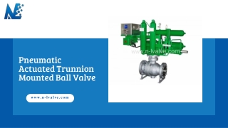 Pneumatic Actuated Trunnion Mounted Ball Valve