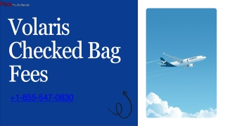 How much do baggage fees usually cost  1-855-547-0830