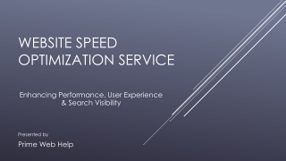 Website Speed Optimization Service