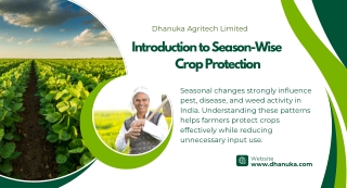 A Season-Wise Guide to Crop Protection in India
