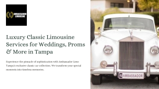 Luxury Classic Limousine Services for Weddings, Proms & More in Tampa!