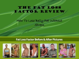 The Fat Loss Factor Review