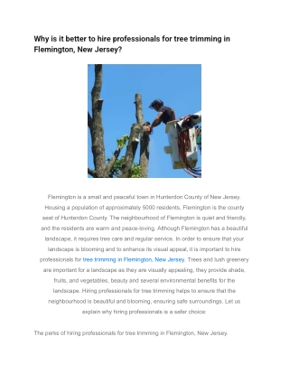 Why is it better to hire professionals for tree trimming in Flemington, New Jersey