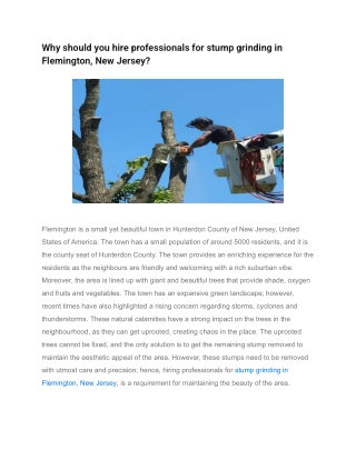 Why should you hire professionals for stump grinding in Flemington, New Jersey