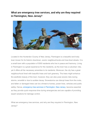 What are emergency tree services, and why are they required in Flemington, New Jersey