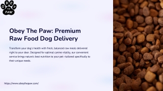 Raw Food Dog Delivery – Fresh, Natural Meals Delivered to Your Door