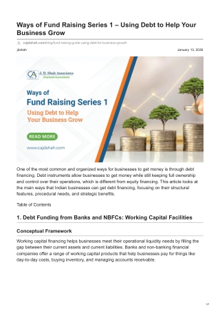 cajdshah.com-Ways of Fund Raising Series 1  Using Debt to Help Your Business Grow