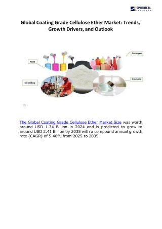 Global Coating Grade Cellulose Ether Market