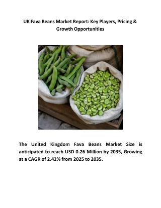 UK Fava Beans Market Report : Key Players, Pricing & Growth Opportunities