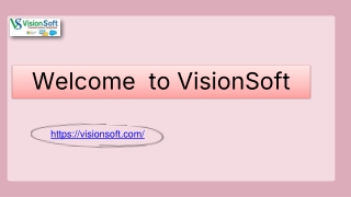 Data Cleansing Tools at VisionSoft