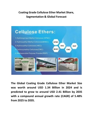 Coating Grade Cellulose Ether Market Share, Segmentation & Global Forecast