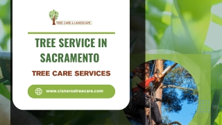Tree Service in Sacramento - Cisnerostreecare.com