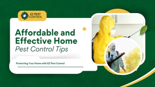 Affordable and Effective Home Pest Control Tips