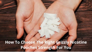 How To Choose The Right Grizzly Nicotine Pouches Strength For You
