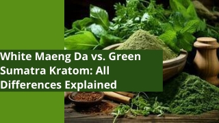 White Maeng Da vs. Green Sumatra Kratom_ All Differences Explained