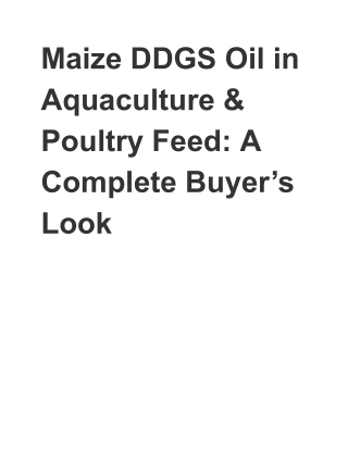 Maize DDGS Oil in Aquaculture & Poultry Feed: A Complete Buyer’s Look