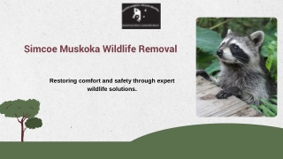 Simcoe Muskoka Wildlife Removal with Pest Control in Alliston