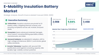 E-Mobility Insulation Battery Market Outlook