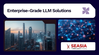 Enterprise-Grade LLM Solutions