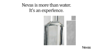 Nevas_Purity_and_Partnership