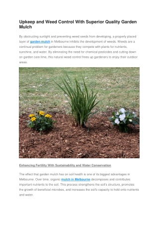 Upkeep and Weed Control With Superior Quality Garden Mulch