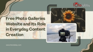 Free Photo Galleries Website and Its Role in Everyday Content Creation (1)