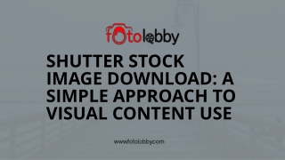 Shutter Stock Image Download A Simple Approach to Visual Content Use