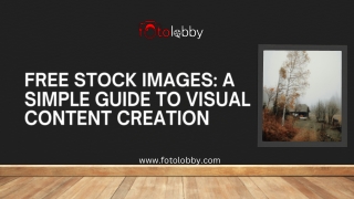 Free Stock Images A Simple Guide to Visual Content Creation