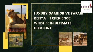 Luxury Game Drive Safari Kenya – Experience Wildlife in Ultimate Comfort