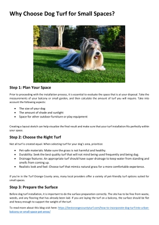 Why Choose Dog Turf for Small Spaces?