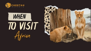 When to Visit Africa: Timing Your Adventure Right