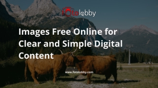Images Free Online for Clear and Simple Digital Content