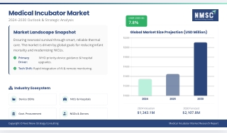 Medical Incubator Market Outlook