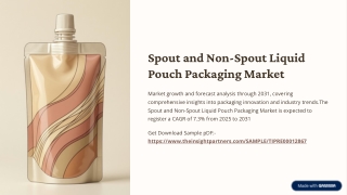 Spout-and-Non-Spout-Liquid-Pouch-Packaging-Market (2)