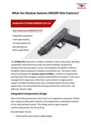 What Are Shadow Systems DR920P Elite Features