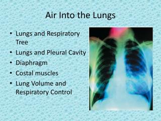 Air Into the Lungs