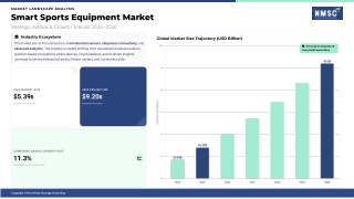 Smart Sports Equipment Market Outlook