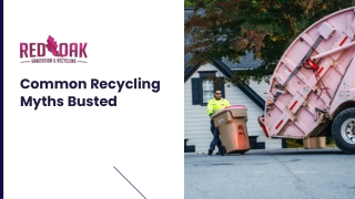 Common Recycling Myths And Facts Explained Simply