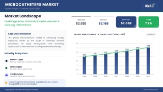 Microcatheters Market Trends: Innovation at the Core of Interventional Medicine